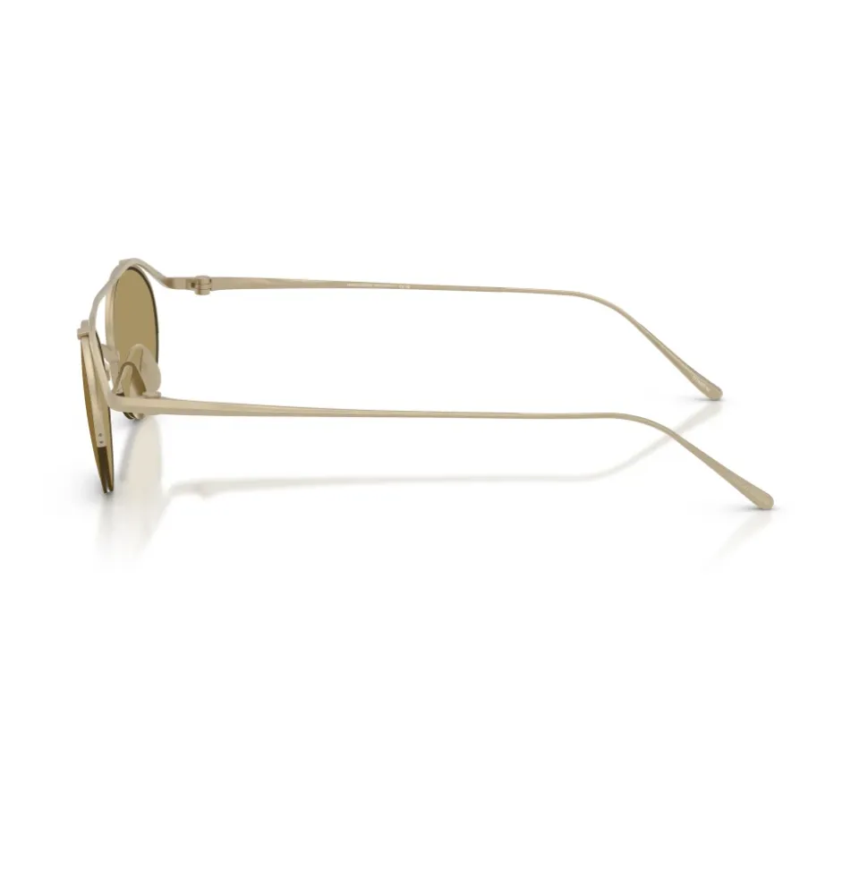 AR6172T Sunglasses