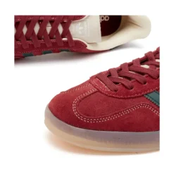 Gazelle Indoor