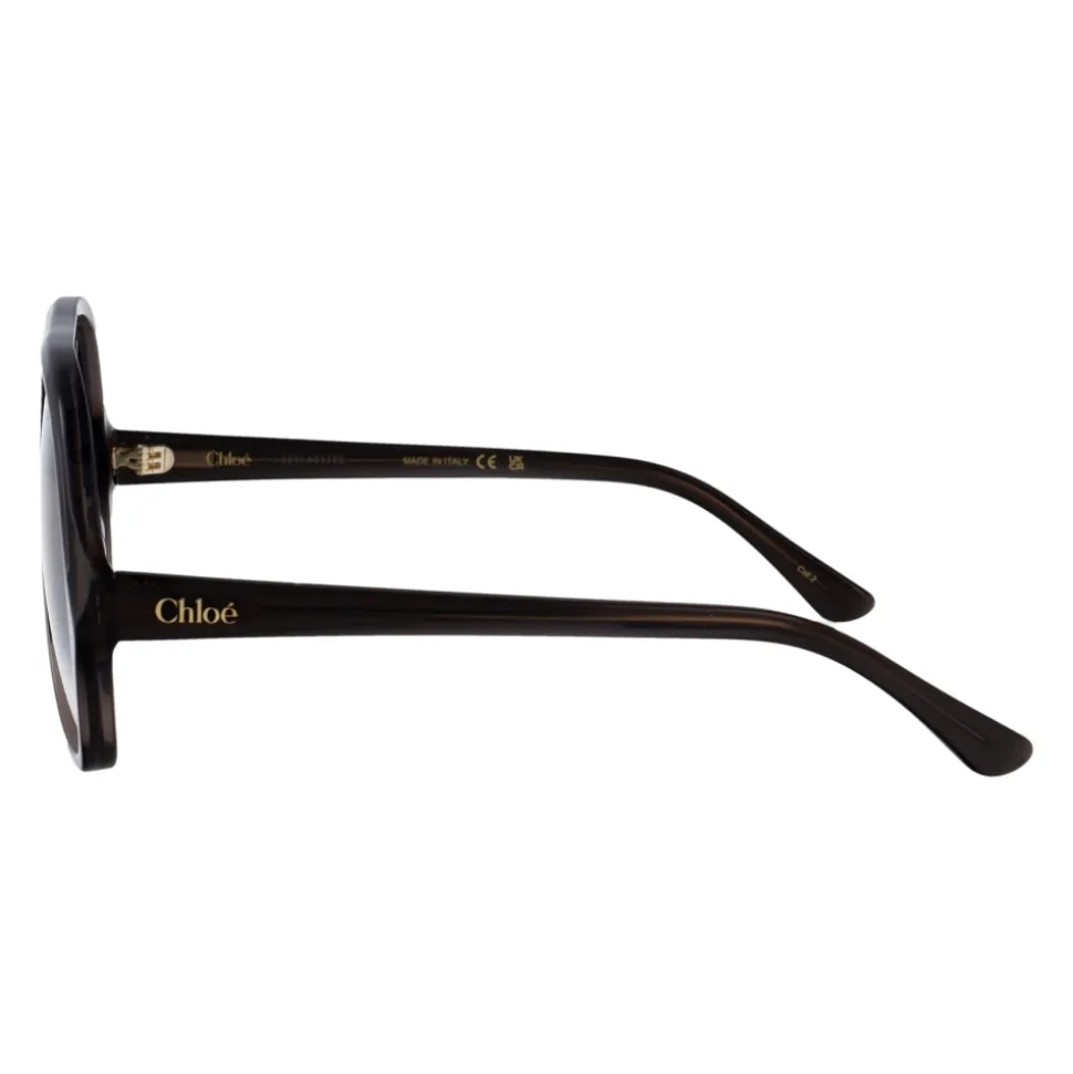 Lunettes de soleil élégantes pour femmes