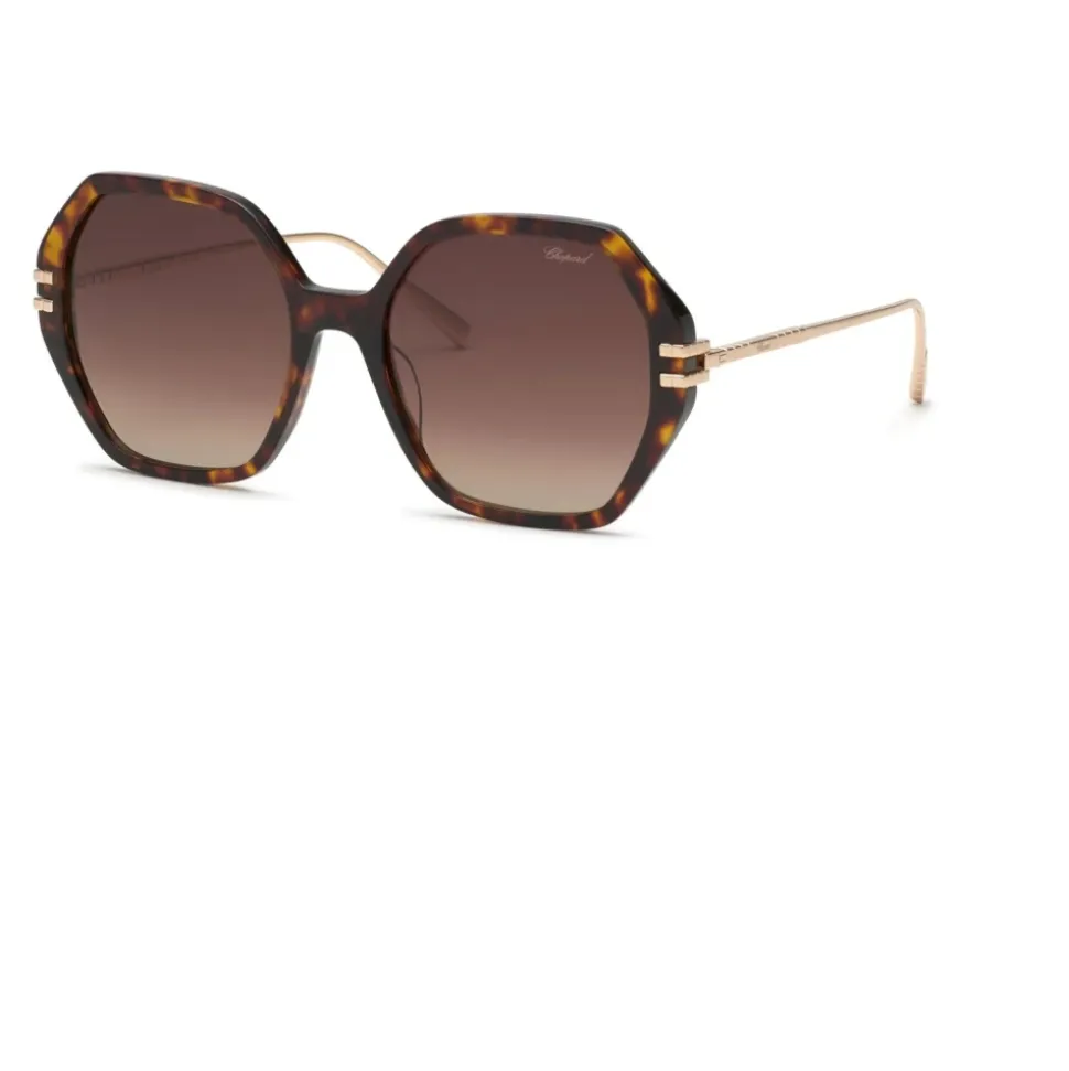 Lunettes de Soleil Noires Élégantes