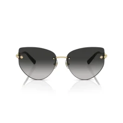 Lunettes de soleil TF3096 Modèle 60213C