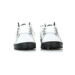 Trailblazer L